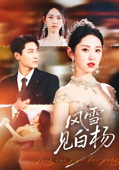 《风雪见白杨》剧照