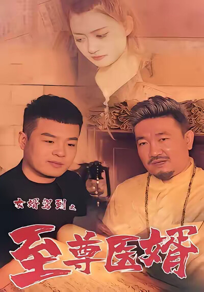 《女婿驾到之至尊医婿》剧照