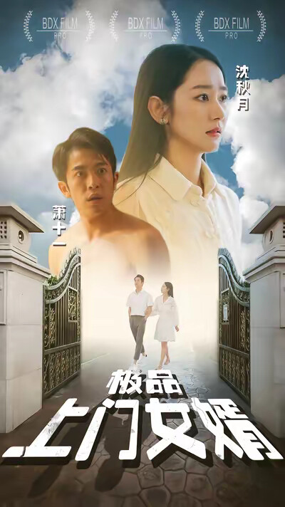 《极品上门女婿》剧照