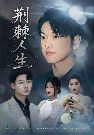 《荆棘人生》剧照