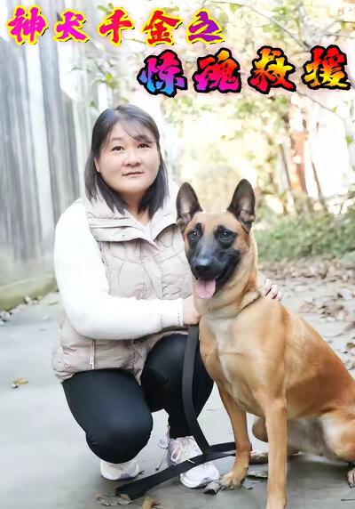 《神犬千金之惊魂救援》剧照