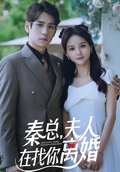 《秦总夫人在找你离婚》剧照