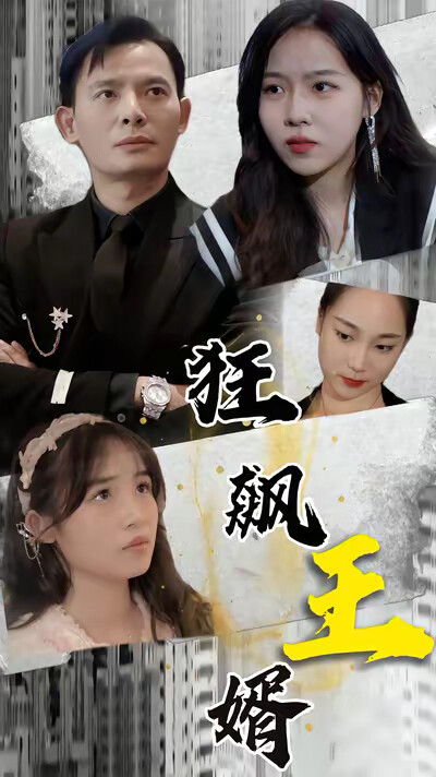 《狂飙王婿》剧照