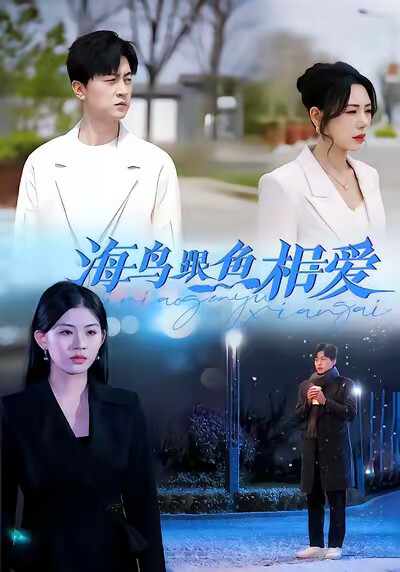 《海鸟跟鱼相爱》剧照