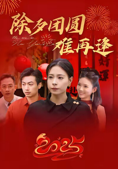 《除夕团圆难再逢》剧照