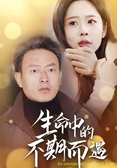 《生命中的不期而遇》剧照