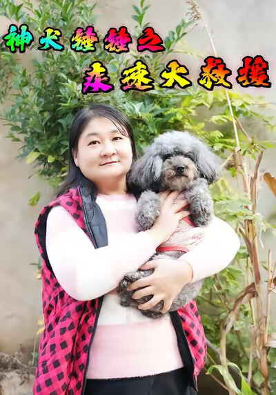 《神犬锤锤之疾速大救援》剧照