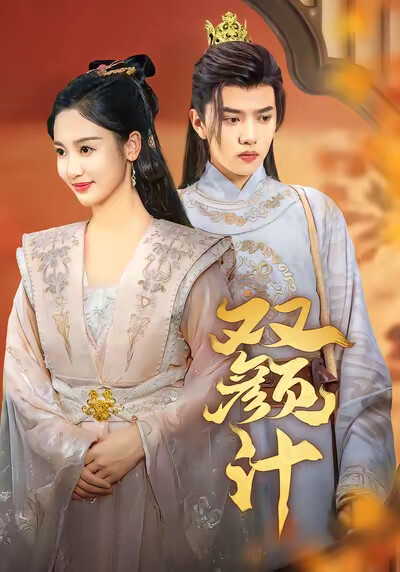 《双颜计》剧照