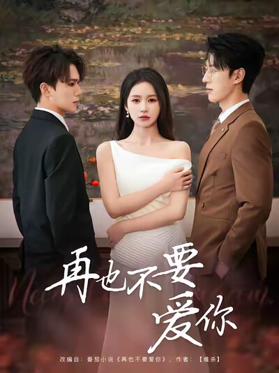 《再也不要爱你》剧照