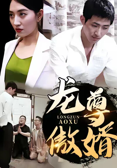 《龙尊傲婿》剧照