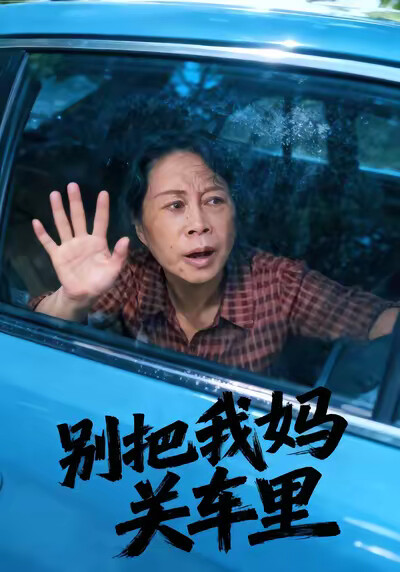 《别把我妈关车里》剧照
