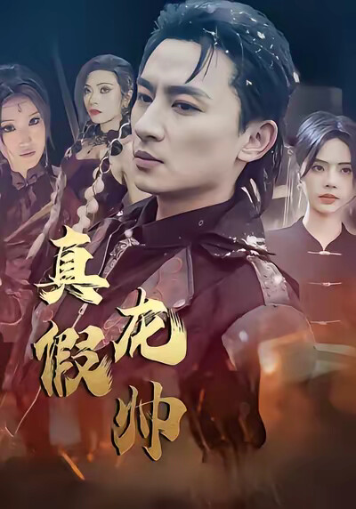 《真假龙帅》剧照