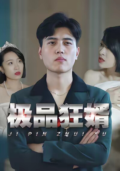 《极品狂婿》剧照