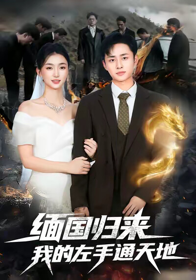 《缅国归来我的左手通天地》剧照