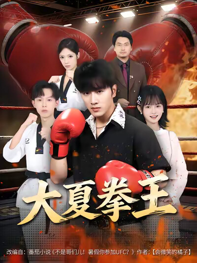 《大夏拳王》剧照