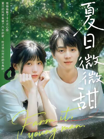 《夏日微微甜》剧照