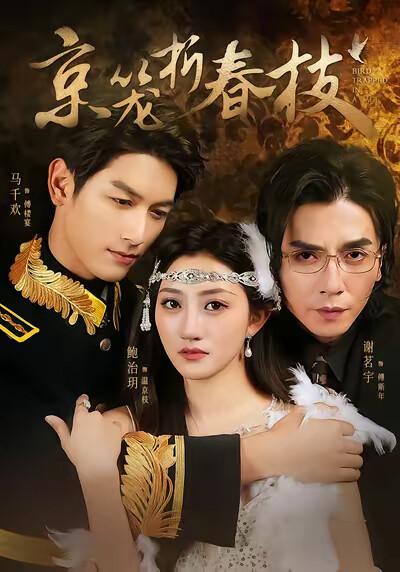 《京笼折春枝》剧照