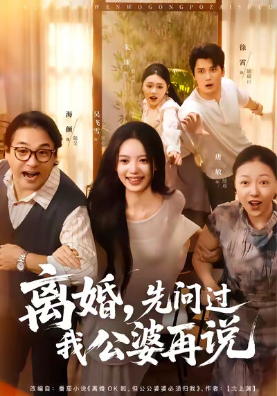 《离婚，先问过我公婆再说》剧照