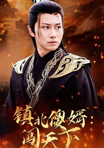 《镇北傻婿闯天下》剧照