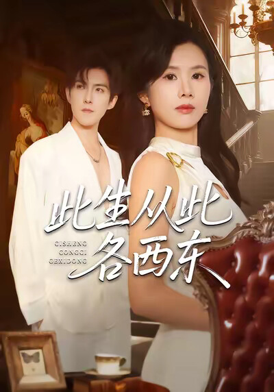 《此生从此各西东》剧照