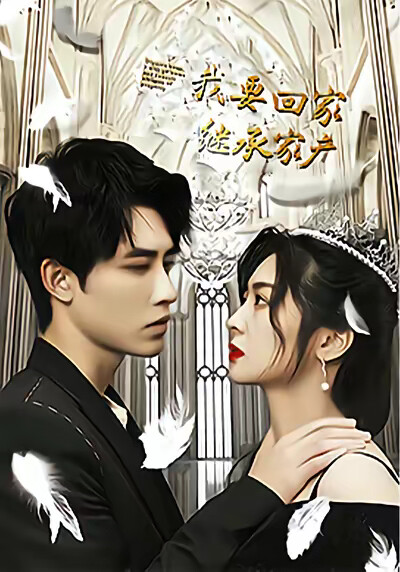 《我要回家继承家产》剧照