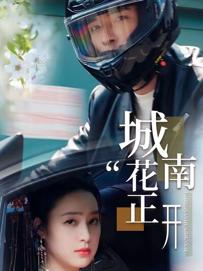 《城南花正开》剧照