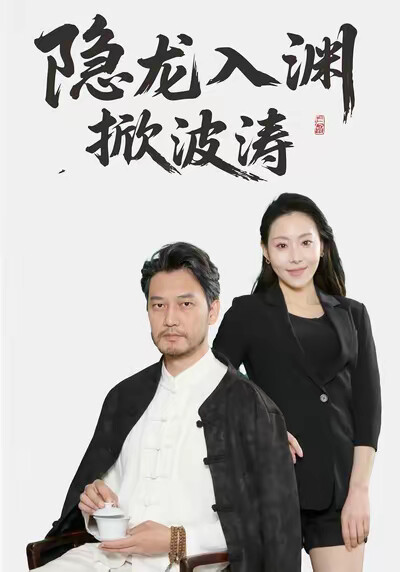 《隐龙入渊掀波涛》剧照