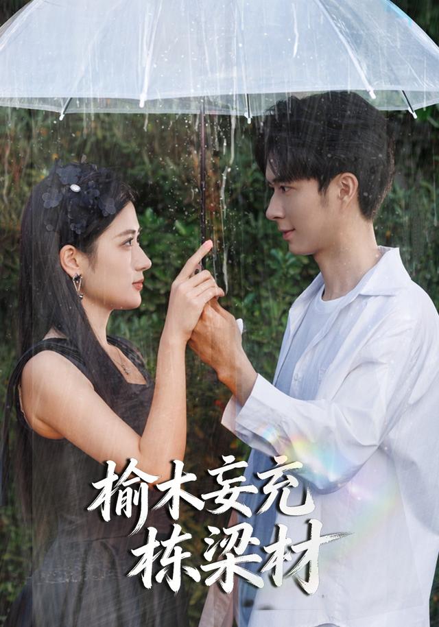 《榆木妄充栋梁材》剧照