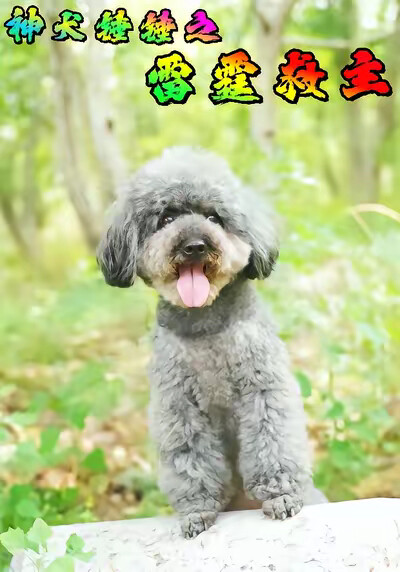 《神犬锤锤之雷霆救主》剧照