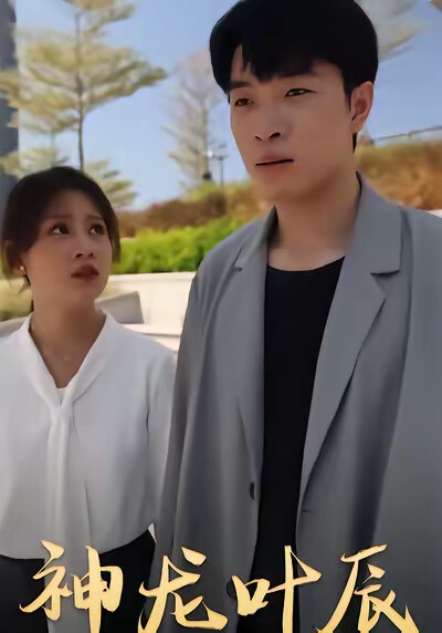 《神龙叶辰》剧照