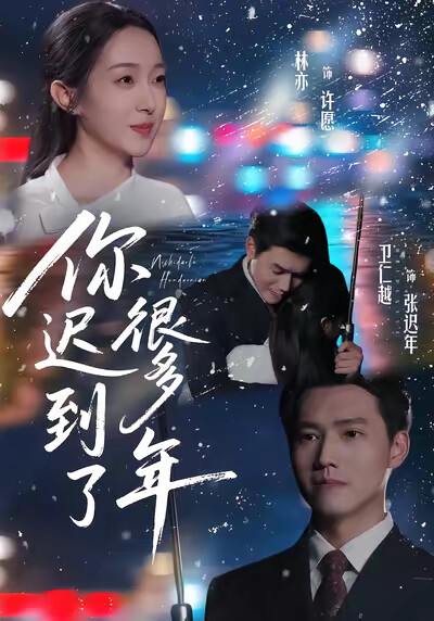《你迟到了很多年》剧照