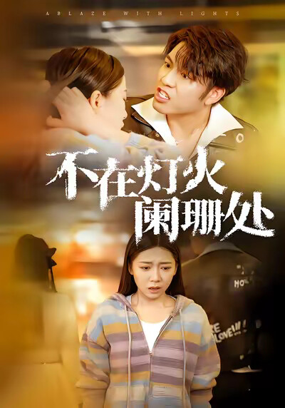 《不在灯火阑珊处》剧照