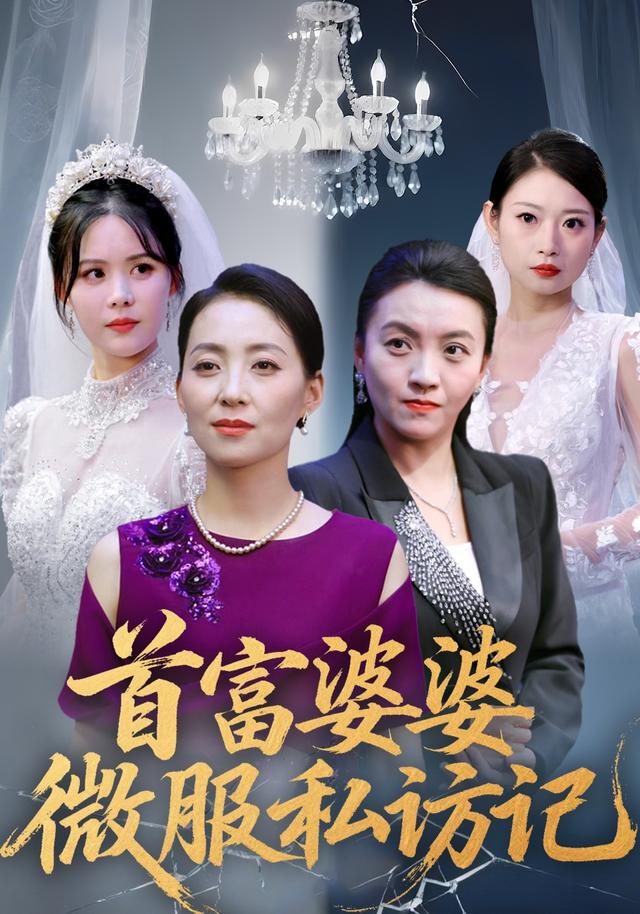 《首富婆婆微服私访记》剧照