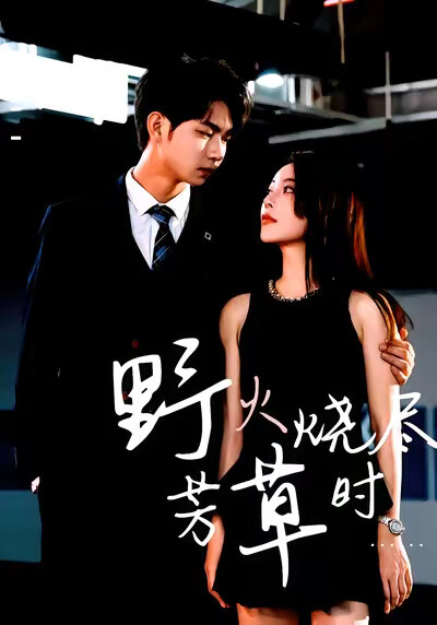 《野火烧尽芳草时》剧照