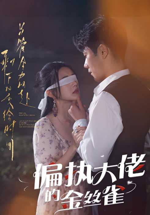 《偏执大佬的金丝雀》剧照