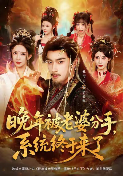 《晚年被老婆分手，系统终于来了》剧照