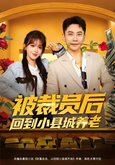 《被裁员后回到小县城养老》剧照