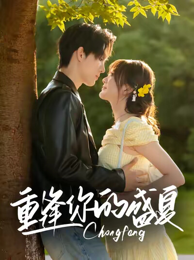 《重逢你的盛夏》剧照