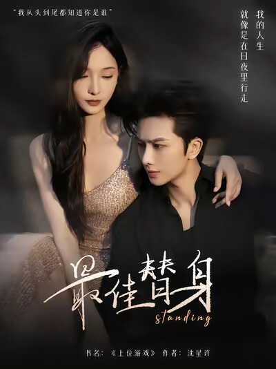 《最佳替身》剧照