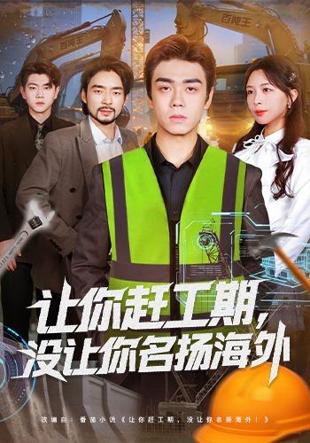 《让你赶工期，没让你名扬海外》剧照