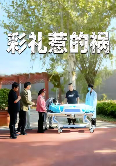 《彩礼惹的祸》剧照