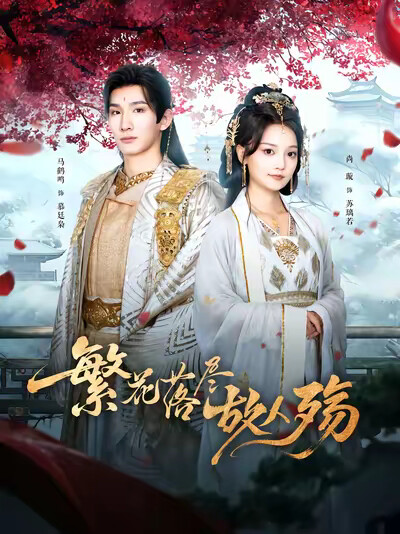 《繁花落尽故人殇》剧照