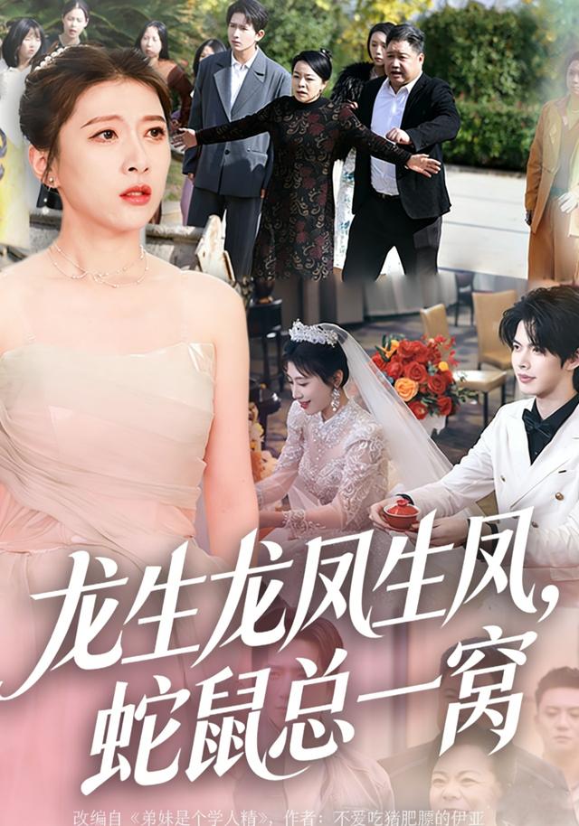 《龙生龙凤生凤，蛇鼠总一窝》剧照