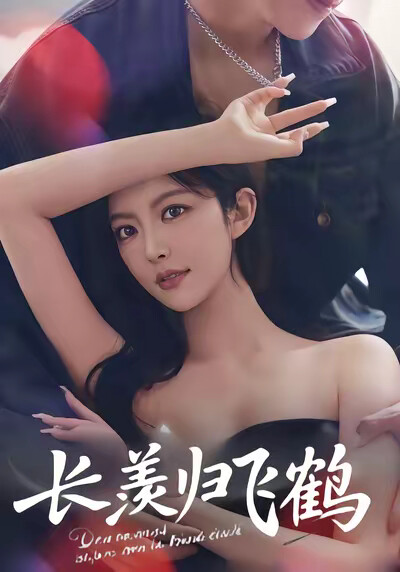 《长羡归飞鹤》剧照