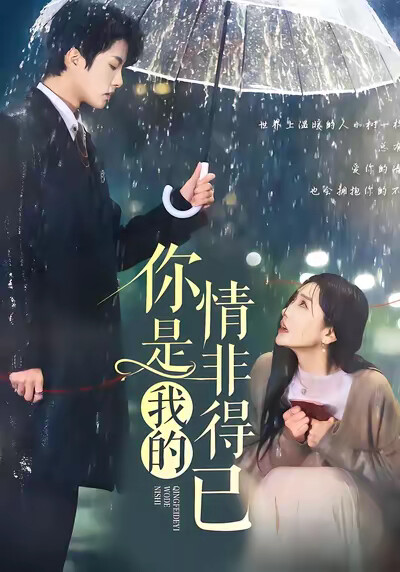 《你是我的情非得已》剧照