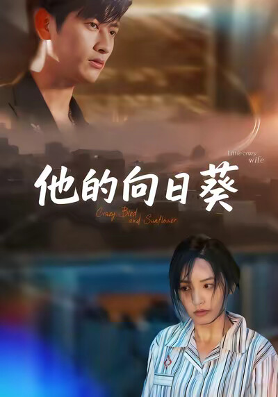 《他的向日葵》剧照