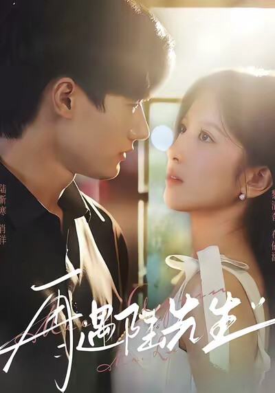 《再遇陆先生》剧照