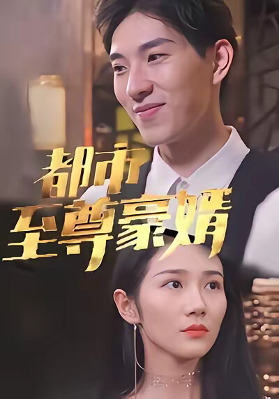 《都市至尊豪婿》剧照