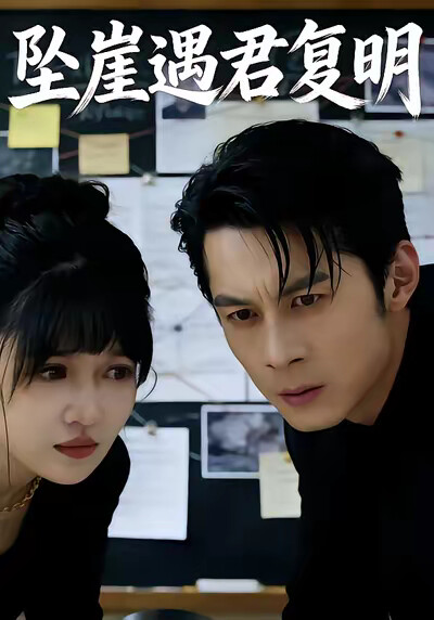 《坠崖遇君复明》剧照