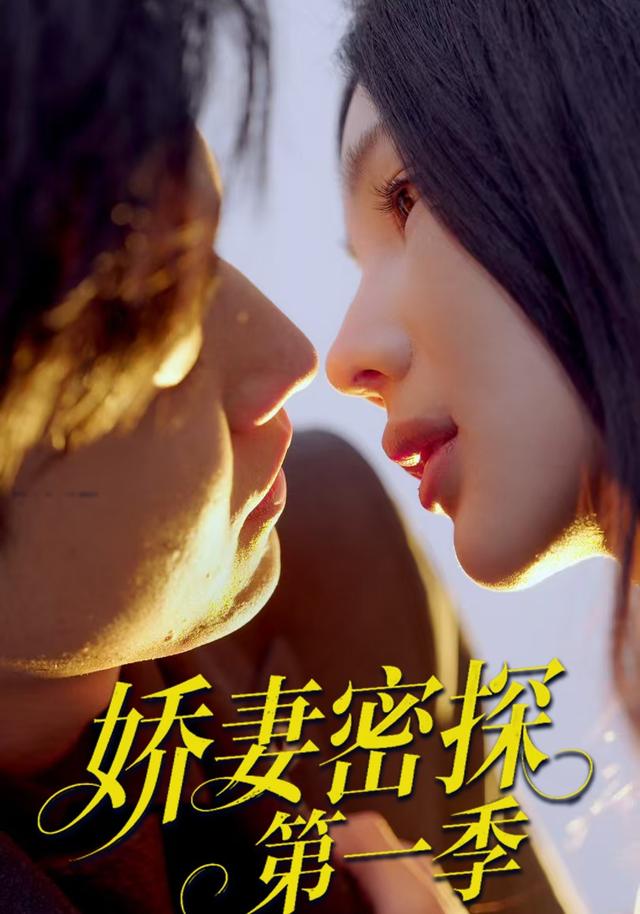 《娇妻密探第一季》剧照